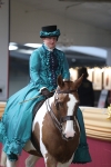 Class 106 Ridden Costume- Astride Adult (15-19) portfolio