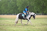 WJ6_5319