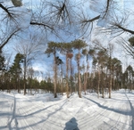 Sentinel - Fruitlands 