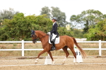 SBM_006534