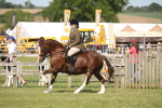 SBM_09588