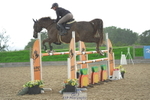 Cls 29 Foxhunter portfolio
