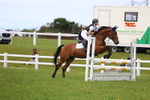 Class 13: Senior British Novice/90cm open portfolio
