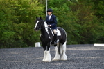WJ5_8718