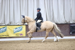 SBM_004308