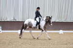 SBM_006293
