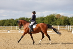 SBM_007476
