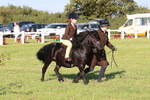 JPP_0836