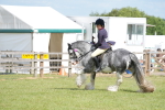 SBM_17305