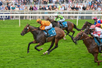 080925-Race 7-Canvas-7862