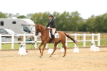 SBM_013378