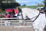 BPP_8681