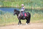 WJ7_7523