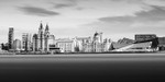 Royal Liver Building (2)