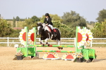SBM_03845