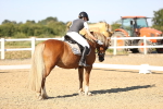 SBM_007742