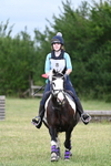 Lyford Stud - HT 29-06-25 portfolio