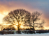 9th January Sunset Okeford Hill