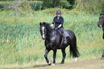WJ7_4471