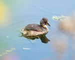 20140905-3K8A5407