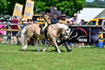 SBM_05932