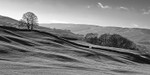 Sleddale 01