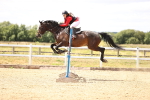 SBM_000952