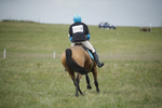 BVHT 140517  NXC -230