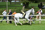 SBM_46880