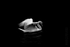 Swan 05