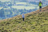 Latrigg Juniors-48