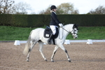Unaffiliated Dressage portfolio