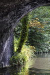 Under Bridge