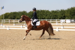 SBM_005754