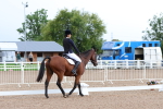 SBM_00194