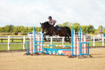 SBM_000282