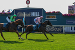 100726-Race 4-Illys Roo-0140