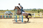 SBM_006255