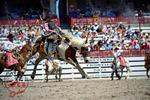 3HRodeo_CFD_JUL_18_2026_03833
