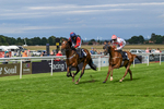 Race 5 portfolio