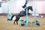 Class 20 - The Diamond Championship Qualifier (0.95m) portfolio