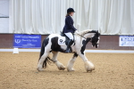 SBM_000330
