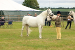 SBM_04225