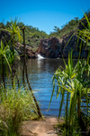 Edith through Pandanus