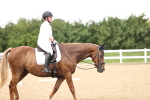 SBM_001471