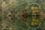 Aspects Of Autumn