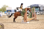 SBM_02875