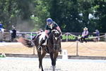 260731A-151256-02146