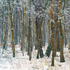 Snow on the Common