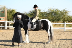 SBM_01168